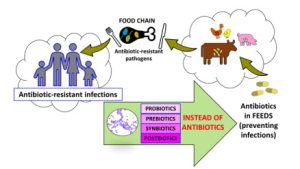 makiandampars - antibiotic resistance