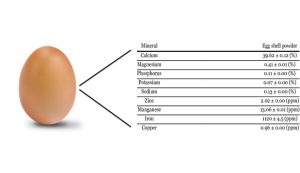 makiandampars - eggshell mineral composition