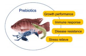makiandampars - prebiotics in fish
