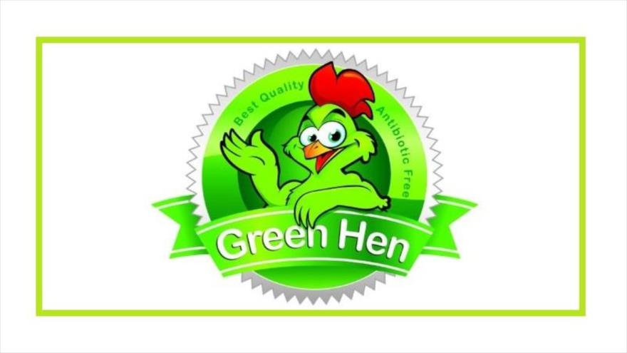 makiandampars - green hen