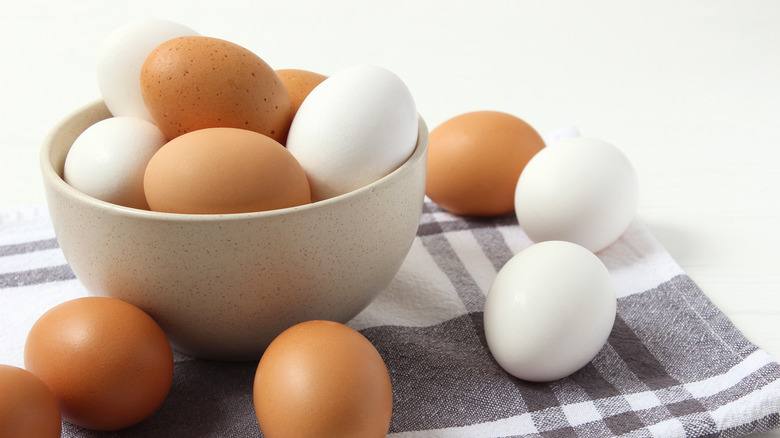 makiandampars - factors affecting egg quality