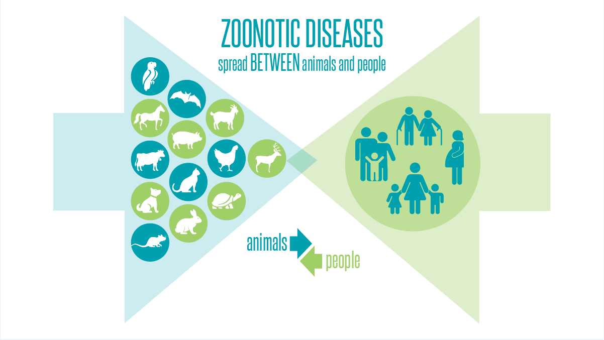 makiandampars - zoonotic diseases