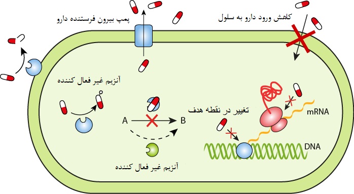 makiandampars - resistance mechanisms in AMR