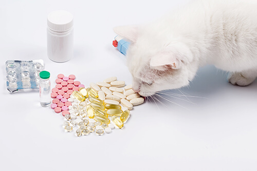 makiandampars - toxic medications for pet animals