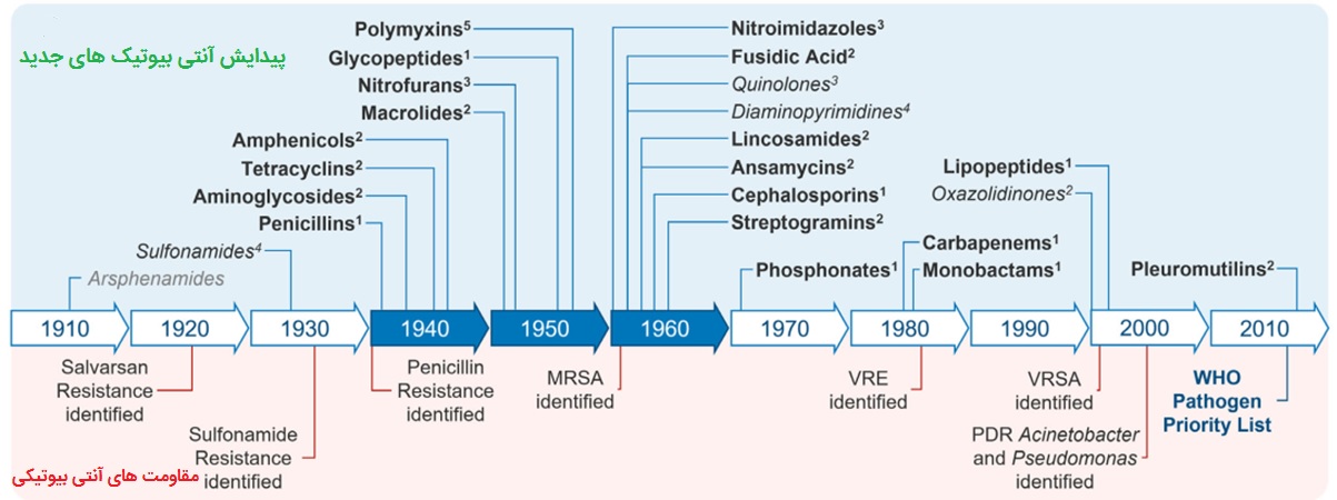 makiandampars - development of antibiotics and resistance