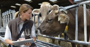 Foot and Mouth disease (FMD) latest outbreak in 2025