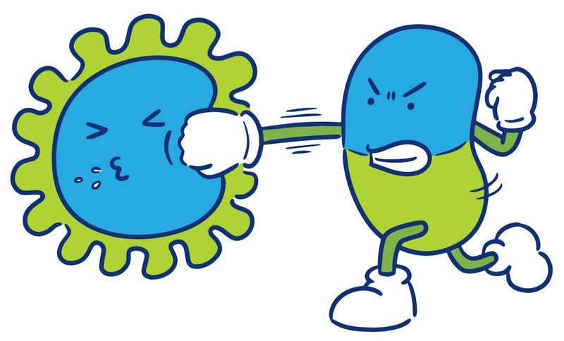 انواع مقاومت آنتی بیوتیکی; مکانیسم مقاومت باکتری اشرشیاکلی (E. Coli)