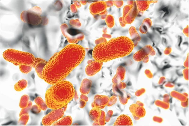 مقاومت ضد میکروبی (AMR)؛ اثر متابولیسم باکتری ها در مقاومت
