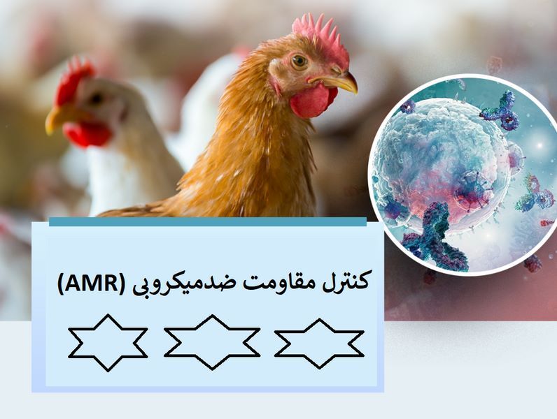 مقاومت ضدمیکروبی چیست؛ مکانیسم های منجر به مقاومت در بدن