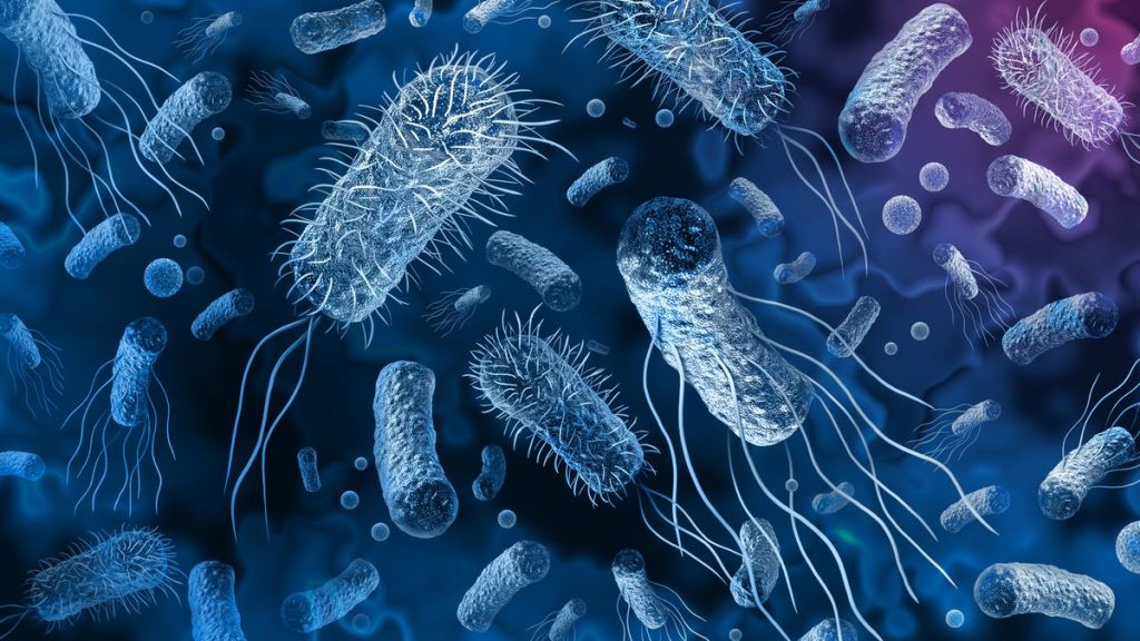 مقاومت آنتی بیوتیکی; مقاومت گسترده (XDR) چیست؟