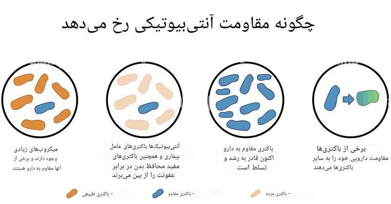 مقاومت ضدمیکروبی چیست؛ مکانیسم های منجر به مقاومت در بدن