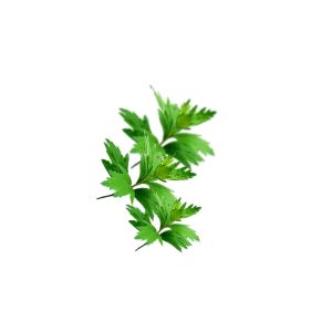 مقایسه اثربخشی ضد کوکسیدیوزهای شیمیایی و گیاهی در دام‌های بزرگ