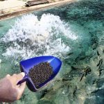 مقاومت ضدمیکروبی (AMR) در صنعت آبزیان پرورشی