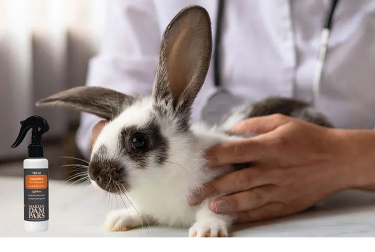 علت و درمان ریزش مو خرگوش