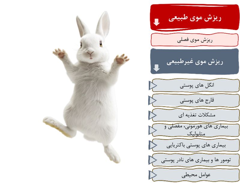 علت و درمان ریزش مو خرگوش