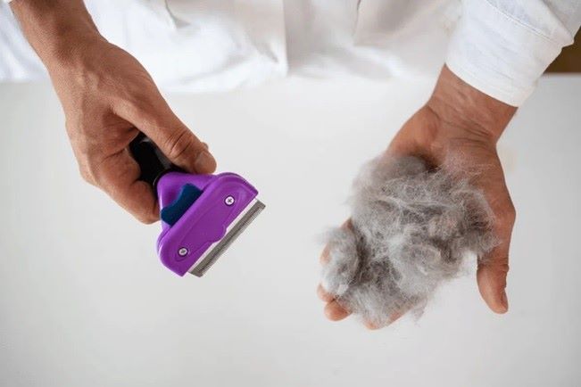 علت و درمان ریزش مو خرگوش