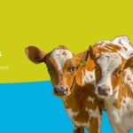 هفته جهانی آگاهی از مقاومت ضدمیکروبی (AMR) ۲۰۲۵