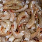 مدیریت تغذیه میگو ها برای کاهش بیماری ها