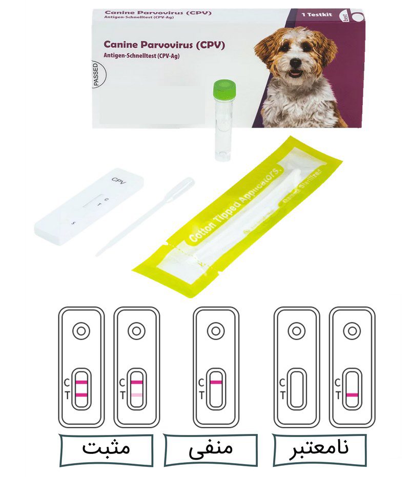 پاروویروس در سگ، از علت تا درمان