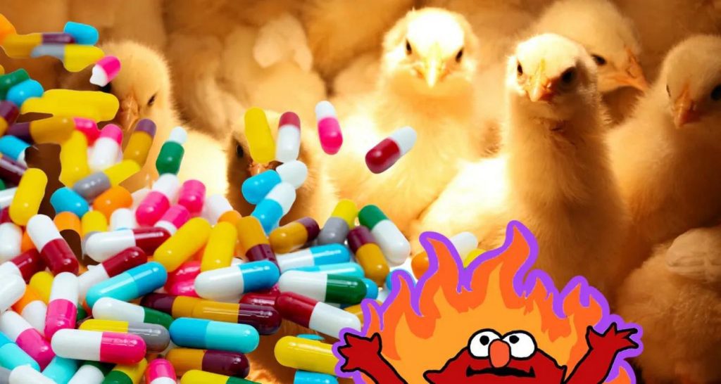 مقاومت آنتی بیوتیکی فزاینده در طیور; رویکرد سلامت واحد (One health)