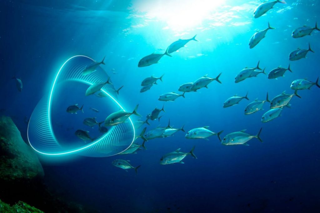 مقاومت آنتی بیوتیکی و اثر آن بر ضریب تبدیل ماهیان پرورشی