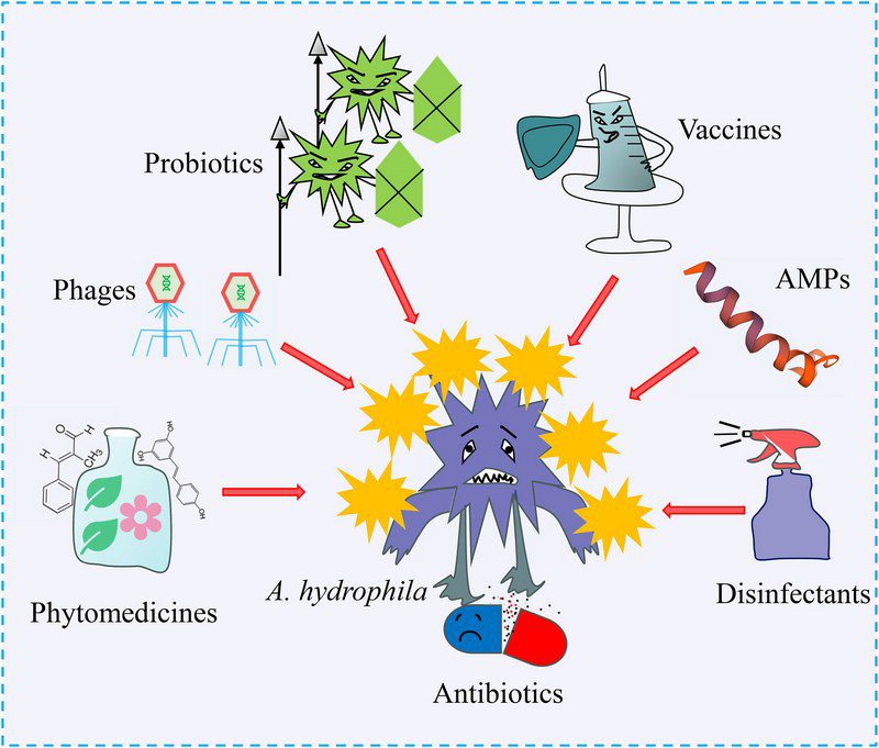 اثر مقاومت آنتی بیوتیکی بر سیستم ایمنی آبزیان