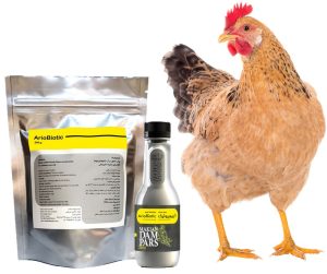 بیماری پاستورلوز یا وبای طیور؛ از علت تا درمان