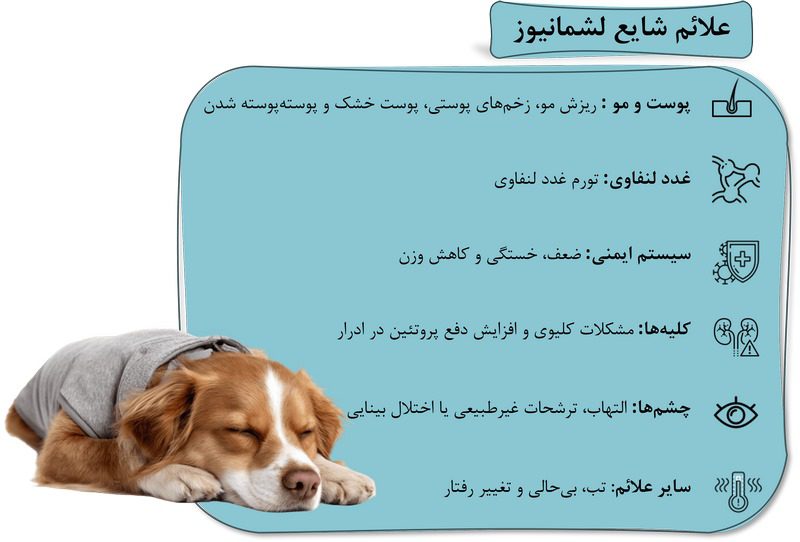 لیشمانیا در سگ; علت، علائم و درمان