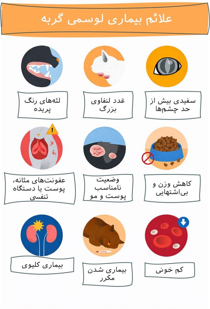 سرطان خون، FeLV یا لوسمی گربهها; از علت تا درمان