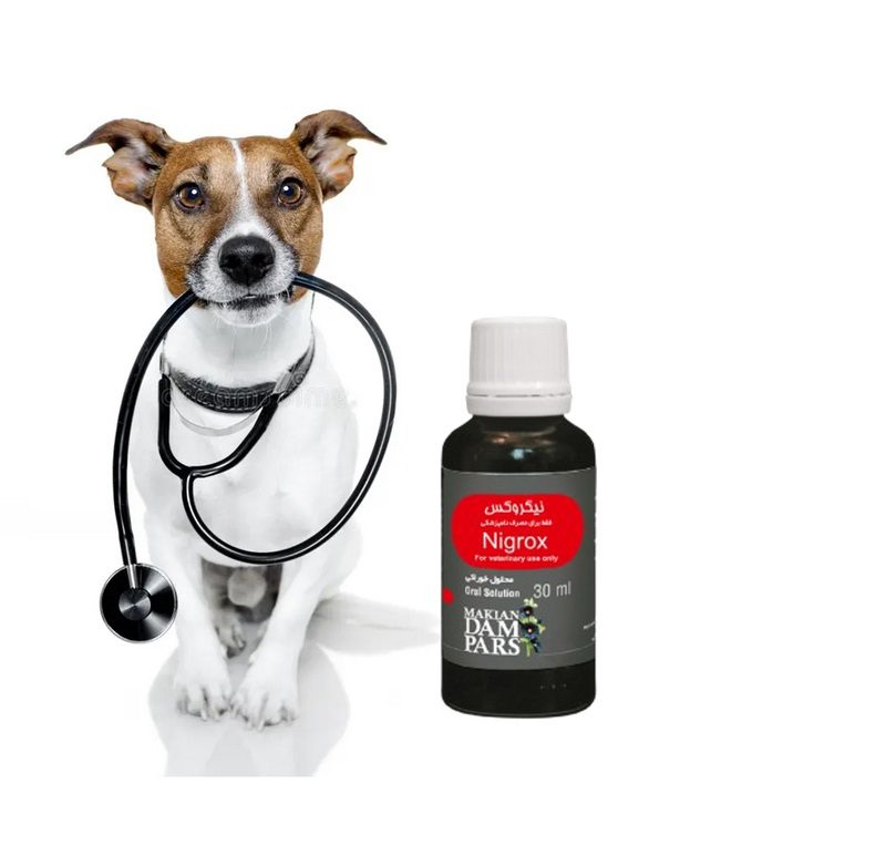 انواع بیماری قلبی سگ