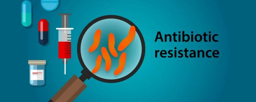 مقاومت آنتی بیوتیکی در حیوانات; تهدیدی برای سلامت انسان