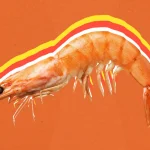 آلودگی‌های شایع در استخرهای پرورش میگو