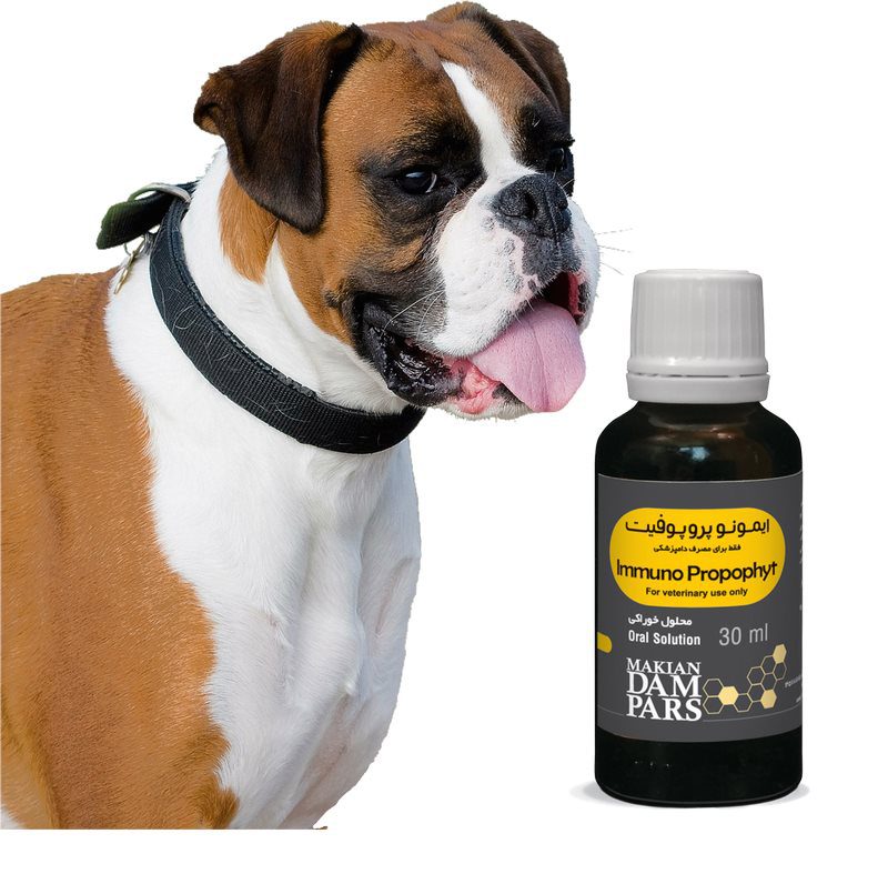 پاروویروس در سگ، از علت تا درمان 