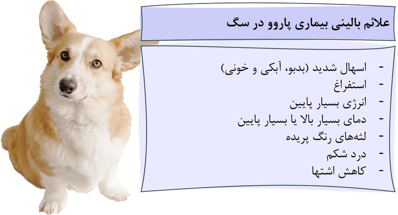 پاروویروس در سگ، از علت تا درمان