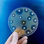 مقاومت آنتی بیوتیکی (AMR); وقتی حیوانات بانک ژن های مقاوم می شوند