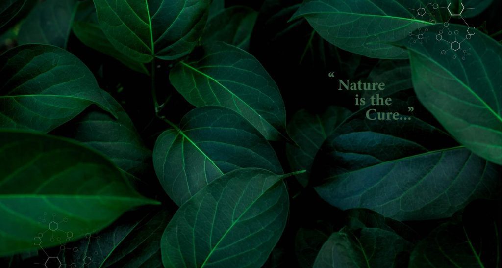 حضور شرکت ماکیان دام پارس در دهمین نمایشگاه بینالمللی خوراک دام، طیور و آبزیان (فید اکسپو)