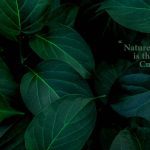 حضور شرکت ماکیان دام پارس در دهمین نمایشگاه بین‌المللی خوراک دام، طیور و آبزیان (فید اکسپو)