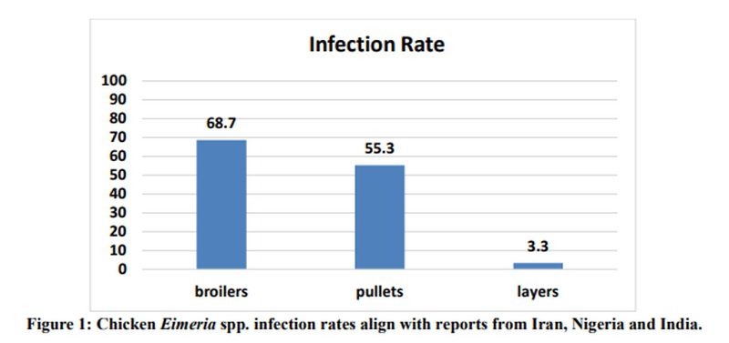 تشخیص کوکسیدیوز; پیشرفت های یکپارچه و استراتژی های نوظهور
