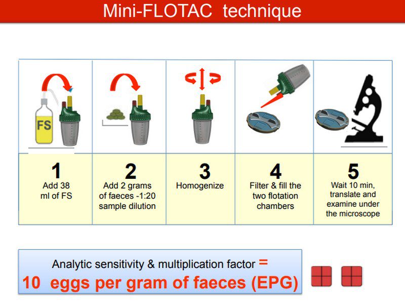 تشخیص کوکسیدیوز; پیشرفت های یکپارچه و استراتژی های نوظهور