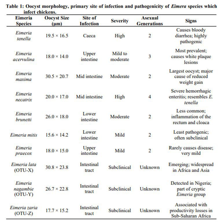 تشخیص کوکسیدیوز; پیشرفت های یکپارچه و استراتژی های نوظهور