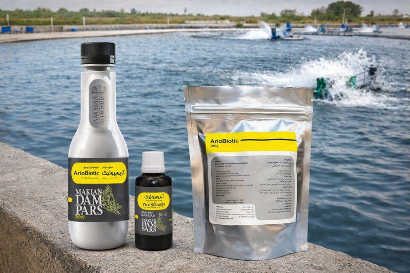 مهم‌ترین تداخلات آنتی‌بیوتیکی در پرورش آبزیان؛ آنچه هر مزرعه‌دار باید بداند