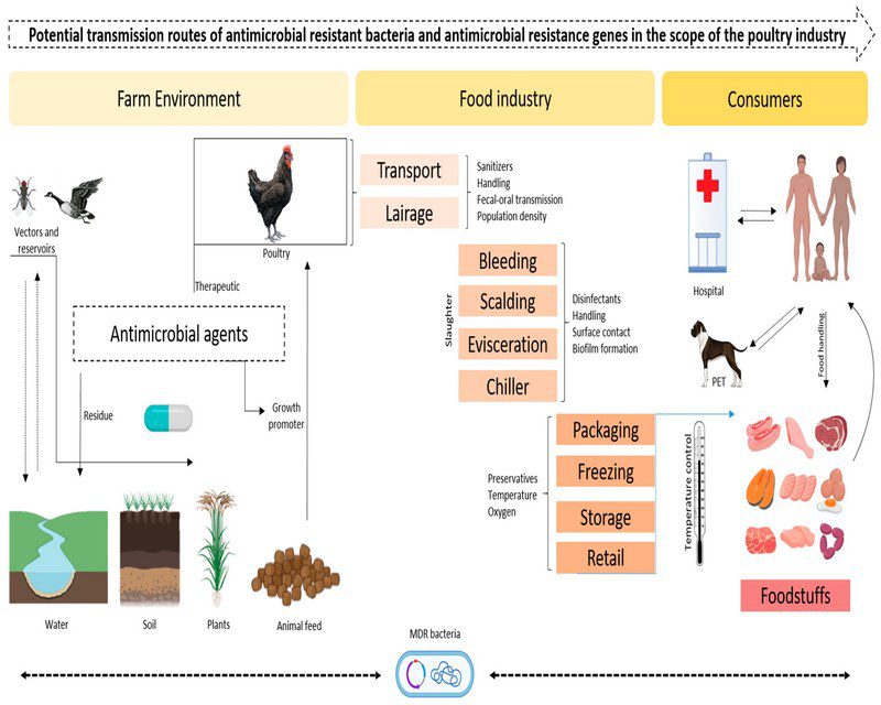 اهمیت بهداشت زیستی و مدیریت کود در کاهش انتشار ژنهای مقاومت دارویی