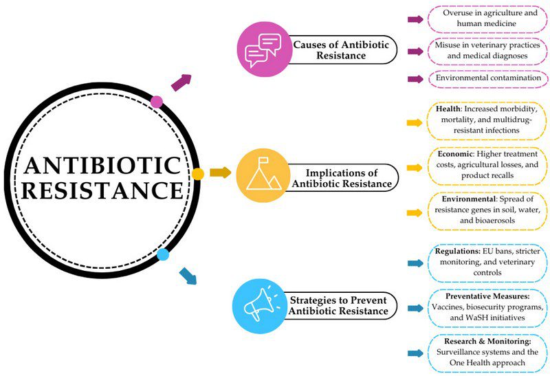 هزینههای پنهان مقاومت آنتیبیوتیکی برای مزرعهدار و زنجیره تأمین مرغ گوشتی