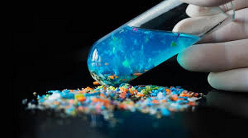 مهم‌ترین تداخلات آنتی‌بیوتیکی در پرورش آبزیان؛ آنچه هر مزرعه‌دار باید بداند