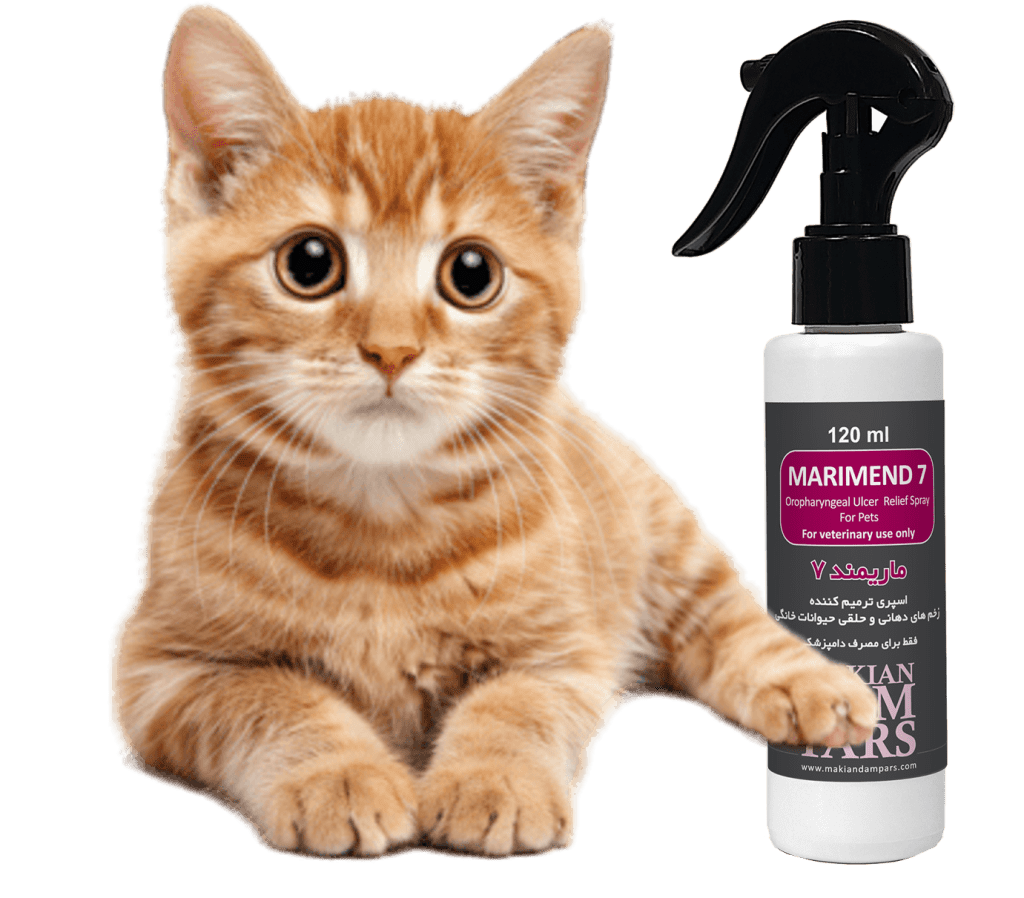 کلسی ویروس گربه; از علت تا درمان