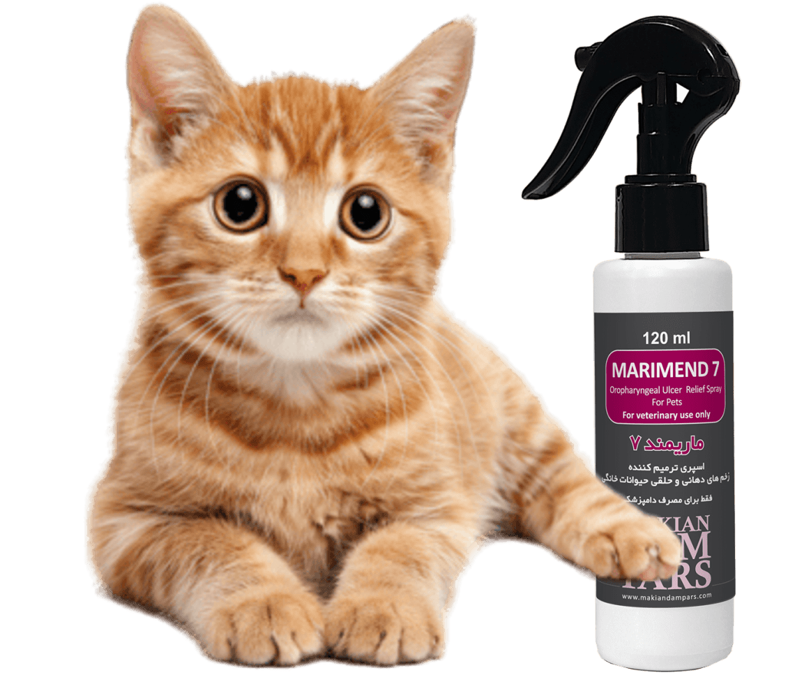 کلسی ویروس گربه; از علت تا درمان