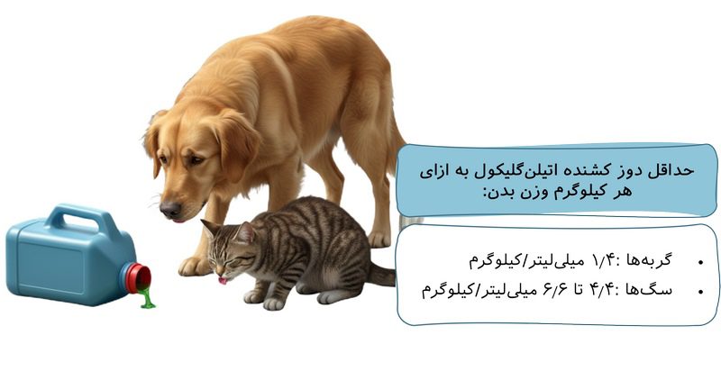 مسمومیت با ضد یخ در حیوانات خانگی