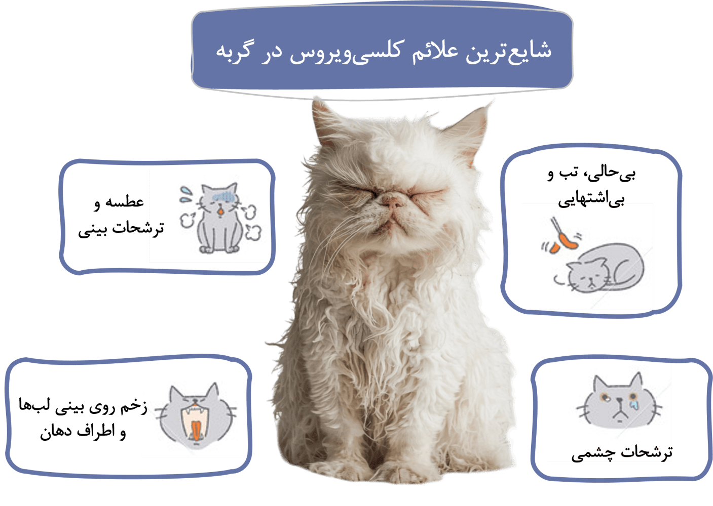 کلسی ویروس گربه; از علت تا درمان