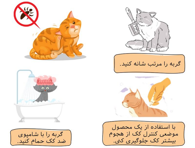 کک و کنه در سگ و گربه; از تشخیص تا درمان 